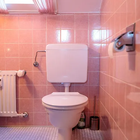 Apartment Bergglueck *